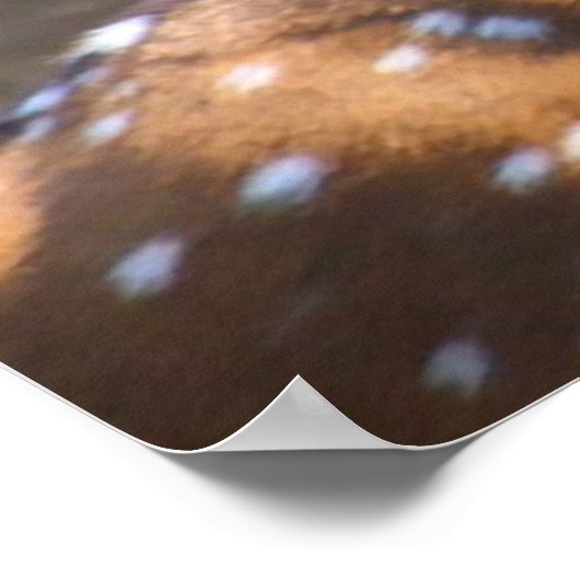 Weihnachts-Grüße Poster (Ecke)