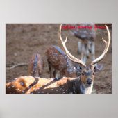 Weihnachts-Grüße Poster (Vorne)