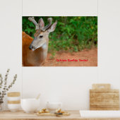 Weihnachts-Grüße Poster (Küche)