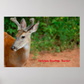 Weihnachts-Grüße Poster (Vorne)