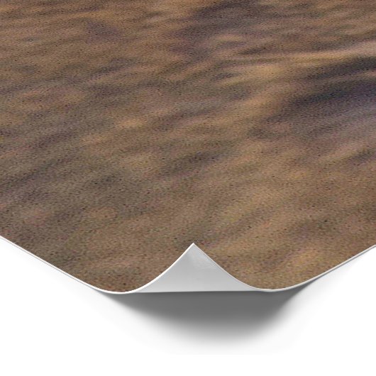 Weihnachts-Grüße Poster (Ecke)