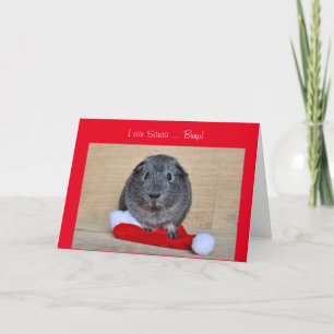 Weihnachts-Guinea Pig Weihnachten Weihnachten Weih