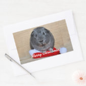 Weihnachts-Guinea Rechteckiger Aufkleber (Umschlag)