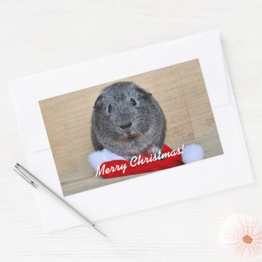 Weihnachts-Guinea Rechteckiger Aufkleber (Umschlag)