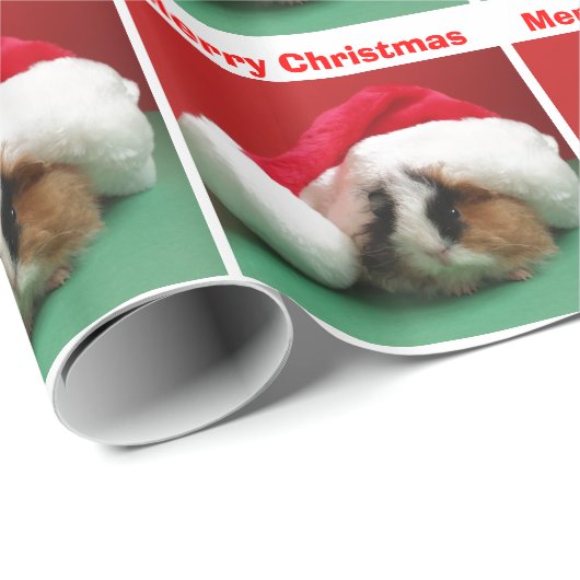 Weihnachts-Guinea Schweinefleisch Geschenkpapier (Rolleneckpunkt)
