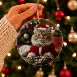 Weihnachts Hauskatze Funny Foto Ornament