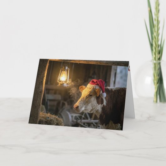 Weihnachts-Hereford-Kuh in einer Scheune Karte (Vorderseite)