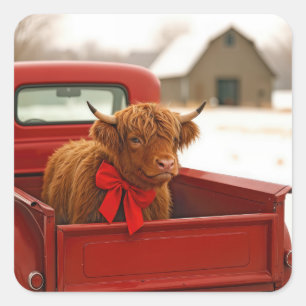 Weihnachts Highland-Kuh im alten roten Lastwagen Quadratischer Aufkleber