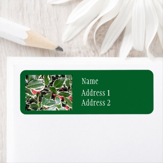 Weihnachts Holly (Insitu)