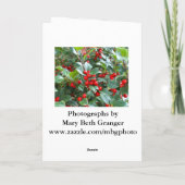 Weihnachts Holly Feiertagskarte (Rückseite)