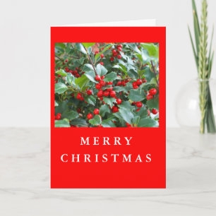 Weihnachts Holly Feiertagskarte