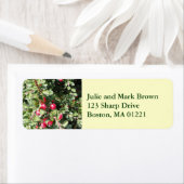 Weihnachts-Holly-Rücksendeadresse (Insitu)