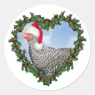 Weihnachts-Huhn * Barred Rock Runder Aufkleber