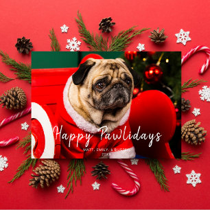 Weihnachts-Hund Foto Happy Pawlidays Green Feiertagskarte