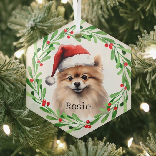 Weihnachts-Hund Spitz Urlaub Haustier Ornament Aus Glas (Insitu)