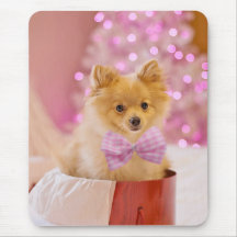 Weihnachts-Hund Welpengeschenk Gegenwart