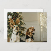 Weihnachts-Hunde Feiertag Cheer Postkarte (Vorne/Hinten)