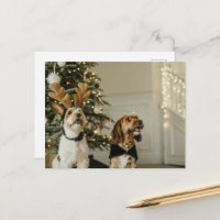 Weihnachts-Hunde Feiertag Cheer Postkarte