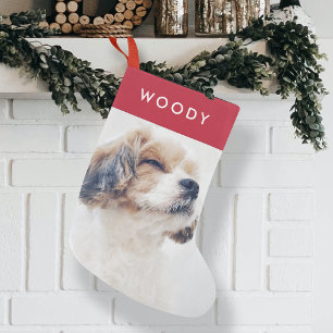 Weihnachts-Hundefoto Moderner stilvoller roter H Kleiner Weihnachtsstrumpf