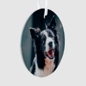 Weihnachts-Hundefoto Ornament (Vorderseite)