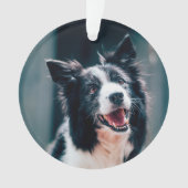 Weihnachts-Hundefoto Ornament (Vorderseite)