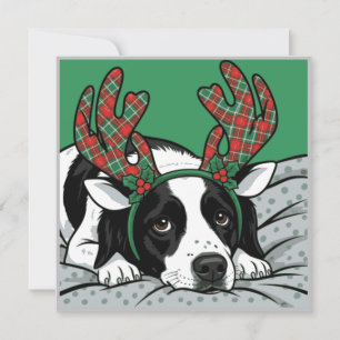 Weihnachts-Hundekarte