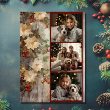 Weihnachts Irish Segen 3 Foto Winter Blume