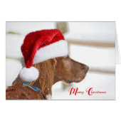 Weihnachts-Irish Setter in Schneeflocken (Vorderseite (Horizontal))