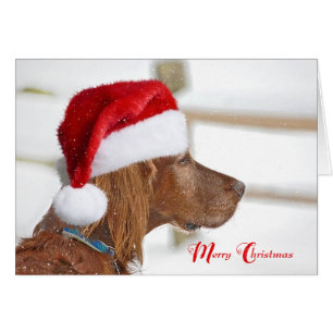 Weihnachts-Irish Setter in Schneeflocken