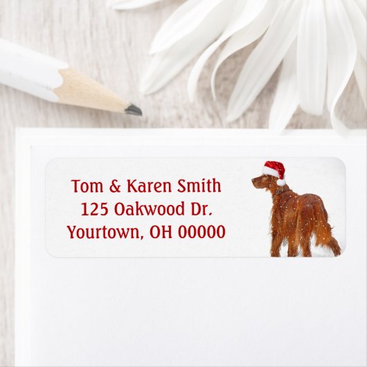 Weihnachts-Irish Setter-Label (Insitu)