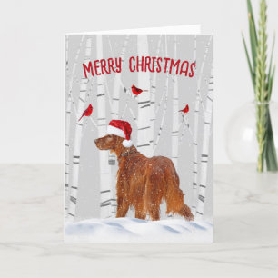 Weihnachts-Irish Setter mit Birch Trees Feiertagskarte