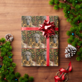 Weihnachts-Irish Wolfhound verheddert in Lichtern Geschenkpapier