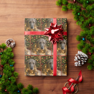Weihnachts-Irish Wolfhound verheddert in Lichtern Geschenkpapier
