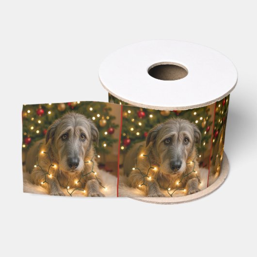 Weihnachts-Irish Wolfhound verheddert in Lichtern Ripsband (Spule)