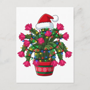 Weihnachts-Kaktus Schlumbergera Bridgesii Holiday Postkarte