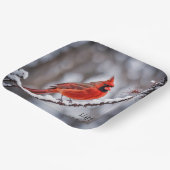 Weihnachts-Kardinal auf Winterzweig Pappteller (Gewinkelt)