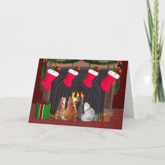 Weihnachts-Kätzchen Feiertagskarte (Vorderseite)