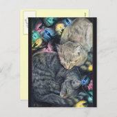 Weihnachts-Kätzchen Postkarte (Vorne/Hinten)
