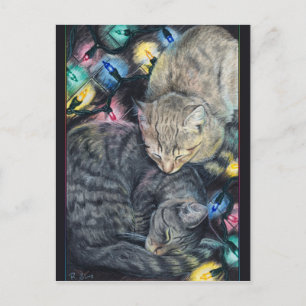 Weihnachts-Kätzchen Postkarte
