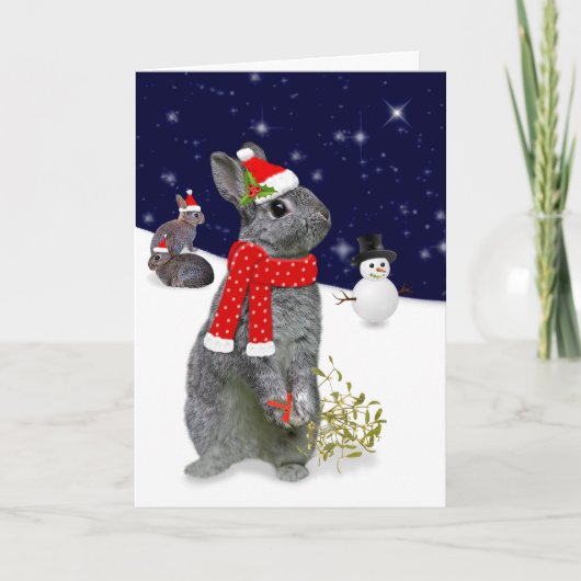 Weihnachts-Kits Karte (Vorderseite)