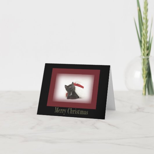 Weihnachts-Kittenkarte Feiertagskarte (Vorderseite)