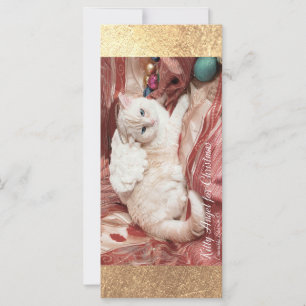 Weihnachts-Kitty Engel Karte