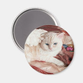 Weihnachts-Kitty Engel Magnet (Vorderseite/Rückseite)