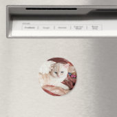 Weihnachts-Kitty Engel Magnet (In Situ (Geschirrspüler))