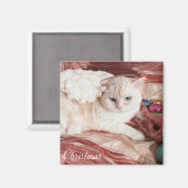 Weihnachts-Kitty Engel Magnet (Vorderseite/Rückseite)