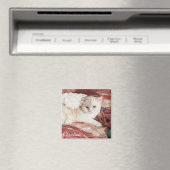 Weihnachts-Kitty Engel Magnet (In Situ (Geschirrspüler))