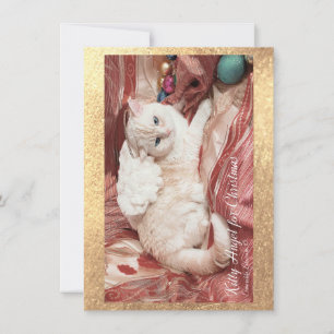 Weihnachts-Kitty Engel Mitteilungskarte