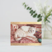 Weihnachts-Kitty Engel Postkarte (Stehend Vorderseite)