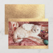 Weihnachts-Kitty Engel Postkarte (Vorne/Hinten)