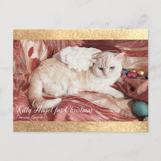 Weihnachts-Kitty Engel Postkarte (Vorderseite)